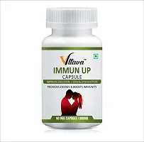 VLTAVA Immun-Up Herbal Capsules Improve Digestion|Sexual Dysfunction|Stamina  Power|  Provides Energy  Boosts Immunity 60-Capsule-thumb1