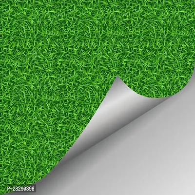 Grass Style Wallpaper  (40 cm x 160 cm)-thumb5