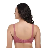 Stylish Multicoloured Cotton Solid Bras For Women Pack Of 3 Pack Of-thumb1