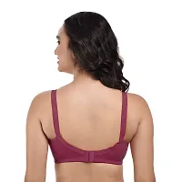 Stylish Multicoloured Cotton Solid Bras For Women Pack Of 3 Pack Of-thumb2