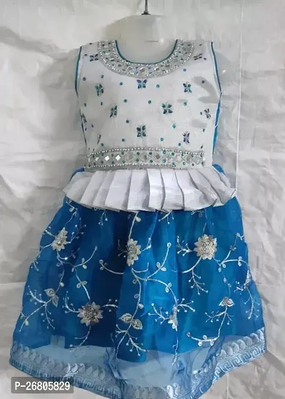 Fabulous Net Blue Embroidered Frocks For Girls-thumb0