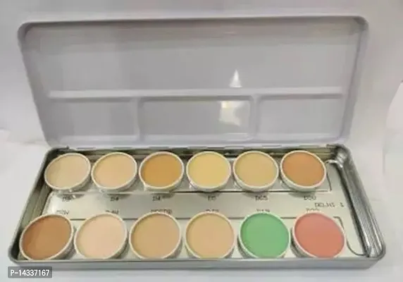 Fancy Camouflage Creme Foundation Palette (12 Multi-Shades) Foundation (100 Ml)