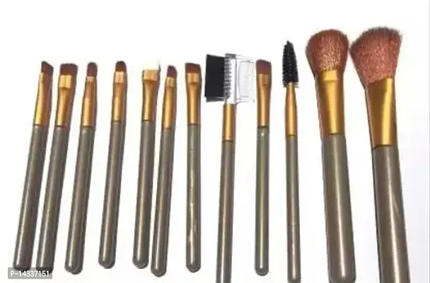 Fancy 12Pcs Professional Make-Up Brushes