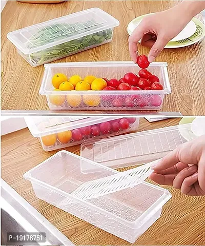 Flobiz Food Storage Container