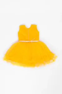 Classic Net Dresses for Kids Girls-thumb1