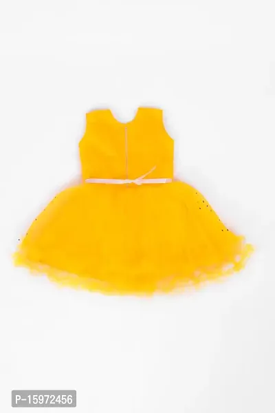 Classic Net Dresses for Kids Girls-thumb2