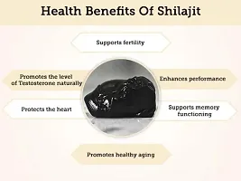 Devagya Ayurveda For Wellness Himalayan Shilajit Stone 10 Gm (1 Tola )-thumb3