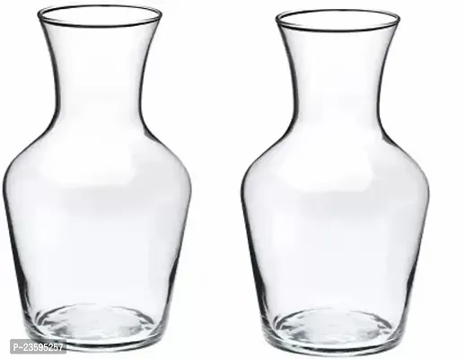 Beautiful Transparent Bootle Shape Glass Pots for flowers and plants Plant Container Set -Pack of 2, Glass