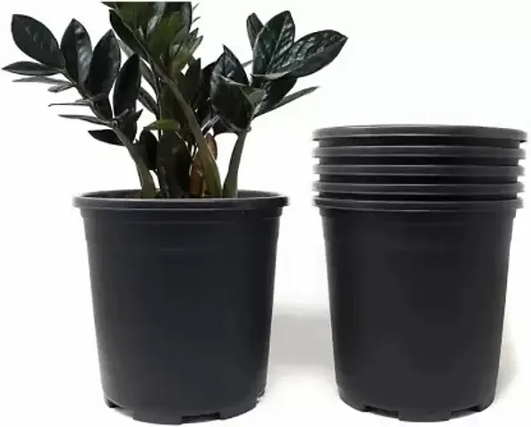 Limited Stock!! Plant & Planters 