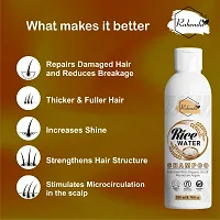 RabendaRice Water Hair Shampoo Helps for Hair Grow L Pack O-thumb2