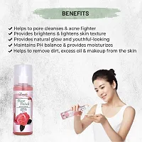 Luster Rose Petals Pure  Natural Rose Water | Soothing Facial Mist | Toner for Face | Paraben  Sulfate Free - 225ml (Pack of 2)-thumb2