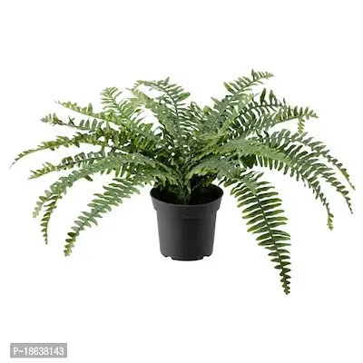 Premium Quality Artificial Potted Plant, In-Outdoor Fern-thumb0