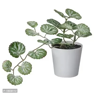 Premium Quality Artificial Potted Plant With Pot, In-Outdoor White-Green