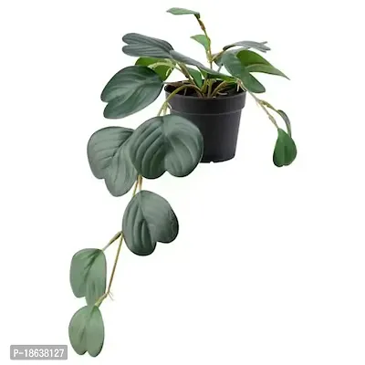 Premium Quality Artificial Potted Plant, In-Outdoor Hanging-Peperomia-thumb0