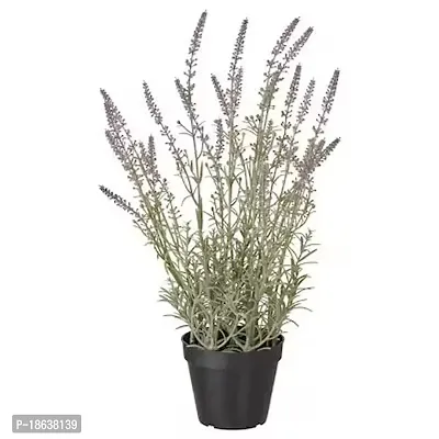 Premium Quality Artificial Potted Plant, In-Outdoor-Lavender Lilac