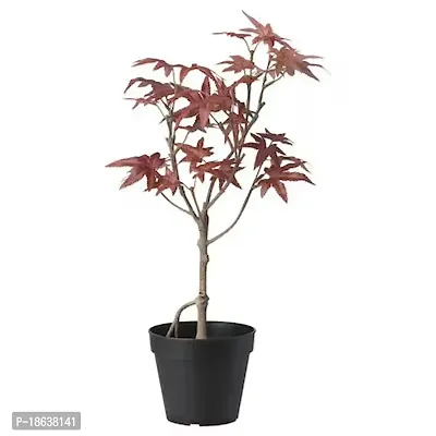 Premium Quality Artificial Potted Plant, In-Outdoor Maple