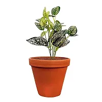 GARDEN DECO Artificial Plant for Home and Office D?cor-thumb4