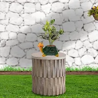 GARDEN DECO Artificial Plant for Home and Office D?cor-thumb1