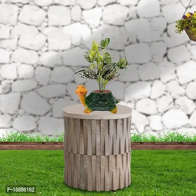 GARDEN DECO Artificial Plant for Home and Office D?cor-thumb2