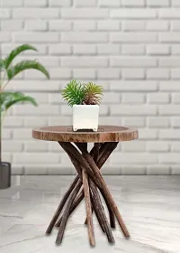 GARDEN DECO Fake Succulent Plant-thumb4