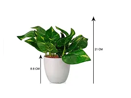 GARDEN DECO Artificial Potted Plant for Home and Office D?cor (High Real Appearance) (1 PC)-thumb3