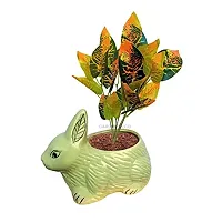 GARDEN DECO Artificial Plant for Home  Office Decoration (High Real Appearance) (1 PC)-thumb2