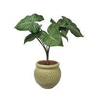 GARDEN DECO Artificial Plant for Home and Office Decor (High Real Appearance) (1 PC)-thumb3