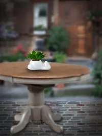 GARDEN DECO Fake Succulent Plant-thumb1