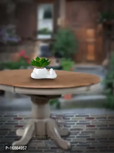 GARDEN DECO Fake Succulent Plant-thumb2