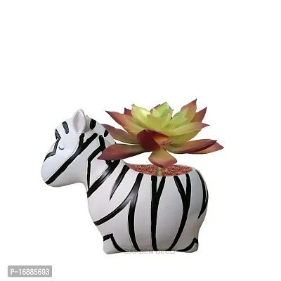 GARDEN DECO Artificial Big Succulent Plant (High Real Appearance) (1 PC)-thumb3