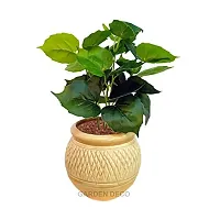 GARDEN DECO Artificial Plant for Home and Office D?cor (High Real Appearance) (1 PC)-thumb4