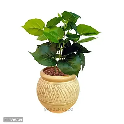 GARDEN DECO Artificial Plant for Home and Office D?cor (High Real Appearance) (1 PC)-thumb5