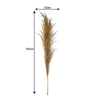 GARDEN DECO Broom Sedge for Home and Office D?cor (1 PC)-thumb1