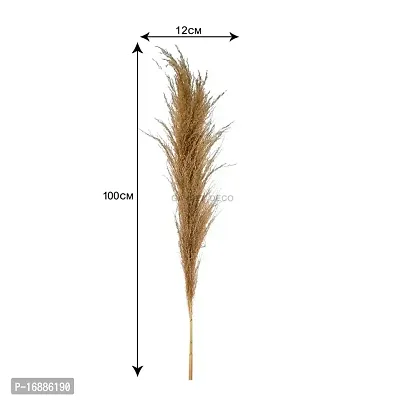 GARDEN DECO Broom Sedge for Home and Office D?cor (1 PC)-thumb2