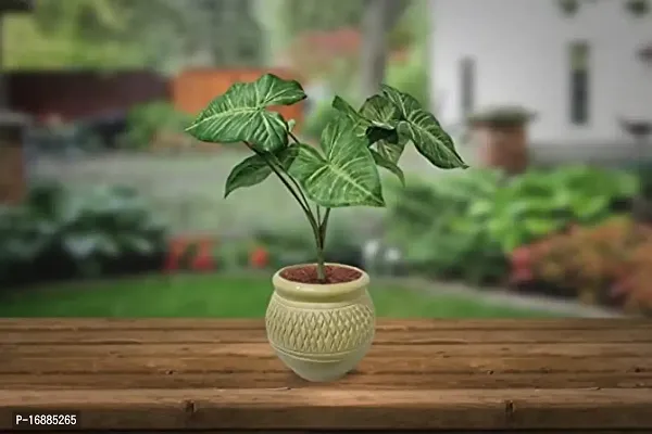 GARDEN DECO Artificial Plant for Home and Office Decor (High Real Appearance) (1 PC)-thumb5