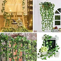 Blue Penguin Artificial Money Plant Leaves Creeper Bail for Home Office Terrace Festival Decoration (Length 6.5 Feet) (Greeen, 3)-thumb1