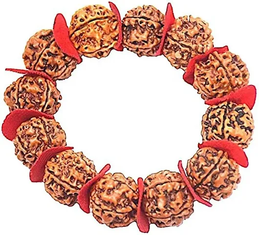 Rudraksha Bracelet Big Size Rudraksha Lab Certified