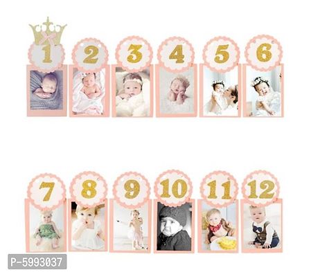 Girl 1 - 12 month photo banner