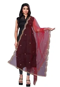 Elite Multicoloured Net Embroidered Dupatta For Women Pack Of 2-thumb1