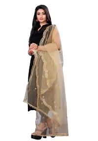 Elite Multicoloured Net Embroidered Dupatta For Women Pack Of 2-thumb1