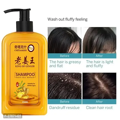 Ginger Hair Dye Instant Hair Growth Shampoo | Ginger Anti-Dandruff Shampoo For Healthy Scalp  Hair | Daily Use Shampoo | Damage Repairs | Scalp Nourishing Ginger Shampoo for Hair Growth  Healthy Hai