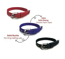 New Dog Collar For Small Size of Dogs ( 3Pcs)-thumb1