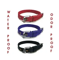 New Dog Collar For Small Size of Dogs ( 3Pcs)-thumb2