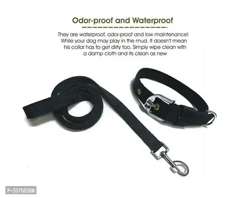 Dog Neck Collar 1 inch Belts and Leash Set (Medium Size of Dogs-Odor proof, Waterproof)-thumb0