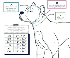 Dog Neck Collar 1 inch Belts and Leash Set (Medium Size of Dogs-Odor proof, Waterproof)-thumb1