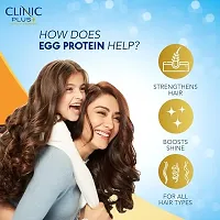 Clinic Plus Strength  Shine, Shampoo, 355ml, with Egg Protein, All Hair Types, for Women  Men-thumb1