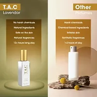 TAC Novel Vanilla Perfume EDP | Eau De Parfum | Timeless Essence of Vanilla-thumb4