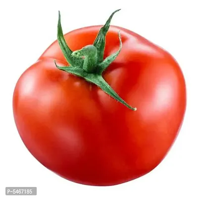 Connifer Tomato High Yield F1 Variety Seeds- Pack Of 50 seeds