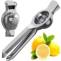 LAPREX Lemon Squeezer Presser for Kitchen and 4 in 1 Slicer and Grater and Stainless Steel Apple Cutter Slicer with 8 Blades and Handle- COMBO OF 3PCS-thumb2