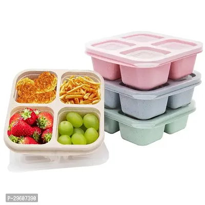 Modern 4 Compartment Lunch Box, Pack of1-Assorted